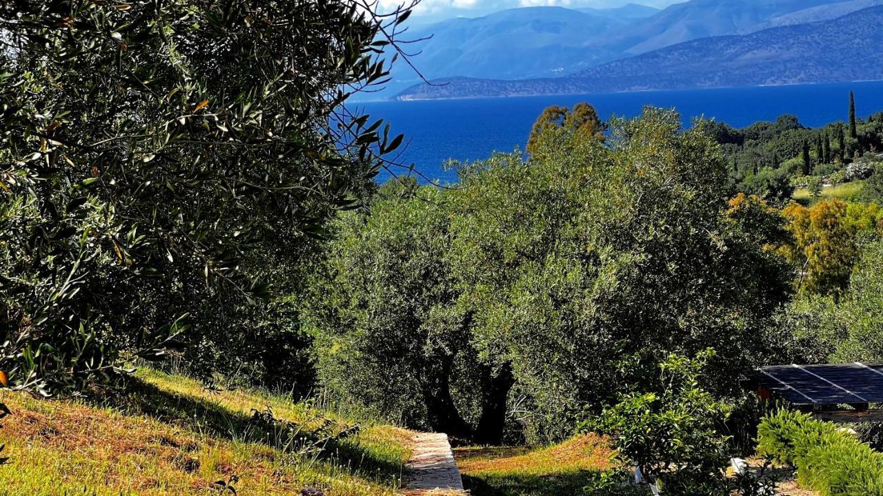 Villa Sania Kassiopi Exterior foto